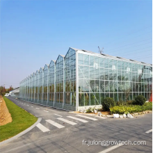 Greenhouse en verre hydroponique intelligent commercial